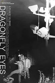 Dragonfly Eyes movie poster