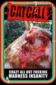 Catcall movie poster