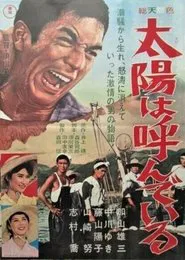 The Sun is Calling You movie poster