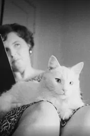 Sõnadeta lugu movie poster