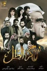 في ذاكرة الظل tv show poster