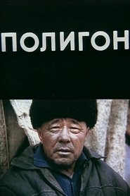 The Polygon movie poster