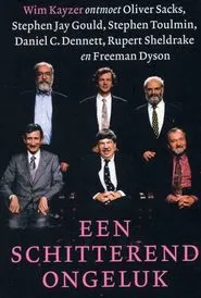 Poster da série een schitterend ongeluk