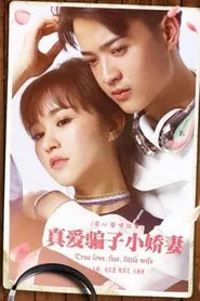 真爱骗子小娇妻 movie poster