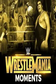 Wrestlemania's Greatest Moments movie poster