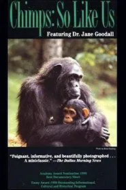 Chimps: So Like Us movie poster