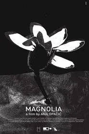Poster do filme Magnolia