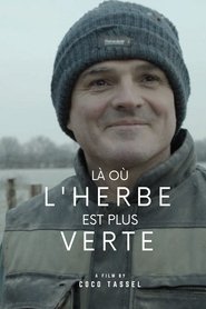 There Where the Grass is Greener movie poster