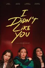 I Didn't Like You movie poster
