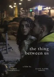 The Thing Between Us movie poster