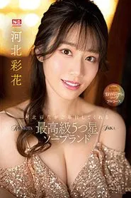 Saika Kawakita Services You At A 5-Star Top-Class Soapland. movie poster