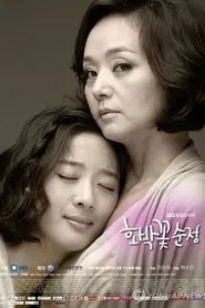 호박꽃 순정 tv show poster