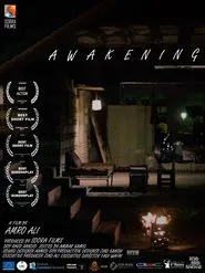 Awakening movie poster