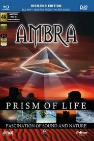 Poster do filme Ambra - Prism Of Life