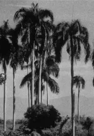 Haiti movie poster