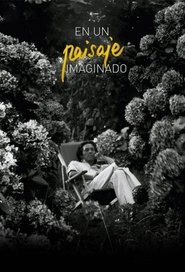 Imagined Landscape movie poster