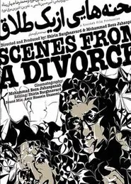 Scenes From a Divorce movie poster