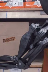 Shelved movie poster