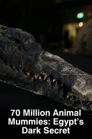 Poster do filme 70 Million Animal Mummies: Egypt's Dark Secret