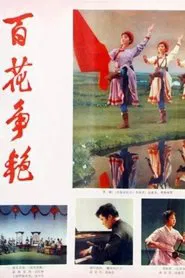 Bai hua zheng yan movie poster