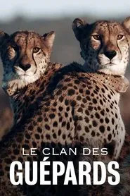 Poster da série Cheetahs United