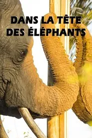 Mind of a Giant movie poster