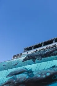 Ocean Stories: Wyland movie poster