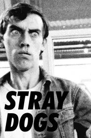 Stray Dogs movie poster