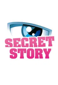 Secret Story tv show poster