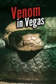 Venom In Vegas movie poster