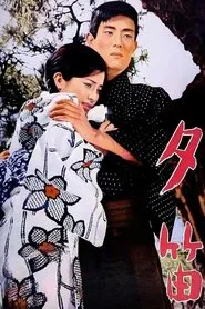 Lost Love movie poster