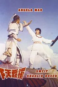 Poster do filme Swift Shaolin Boxer