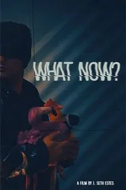 Poster do filme What Now?