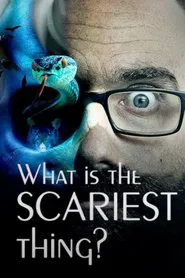 What Is The Scariest Thing? movie poster