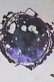 Ground level in New York & D.C movie poster