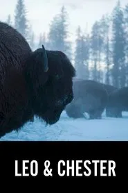 Leo & Chester movie poster