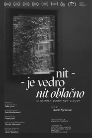 Neither Sunny Nor Cloudy movie poster
