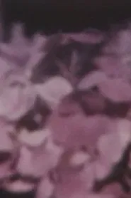 TOKIMEKI, DOKKIN movie poster