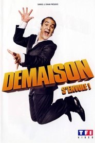 Poster do filme François-Xavier Demaison : Demaison s'envole