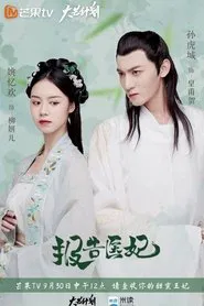 Doctor Princess tv show poster