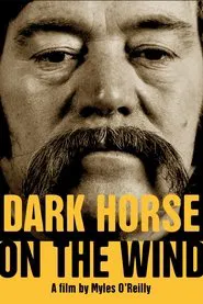 Poster do filme Dark Horse on the Wind