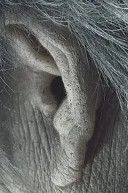 Immortal Woman movie poster