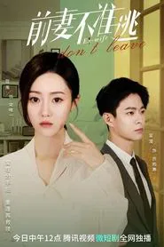Poster da série Ex-Wife Don't Leave