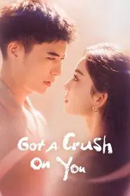 Got a Crush on You tv show poster