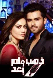 koi laut ke aaya hai tv show poster