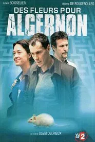 Poster do filme Des fleurs pour Algernon
