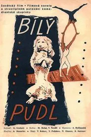 The White Poodle movie poster