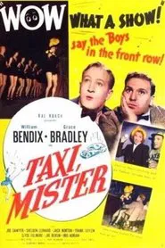 Poster do filme Taxi, Mister