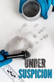 Under Suspicion tv show poster
