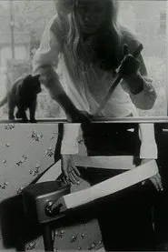 Poster do filme We Hope You Enjoy This Film